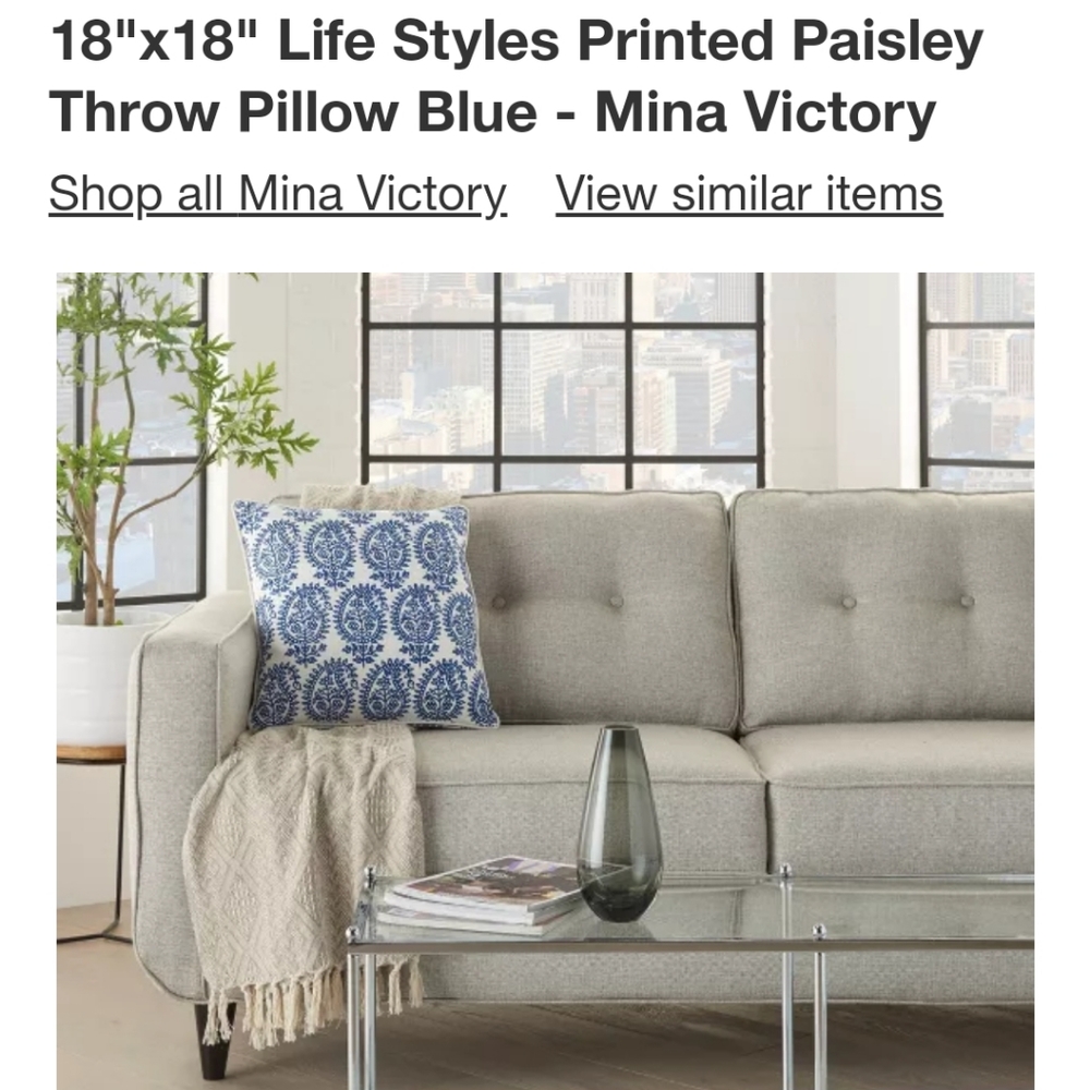 NWT printed paisley pillow